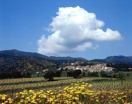 Casa Rural Alquiler Integro Cal Sisco Vilamaniscle エクステリア 写真